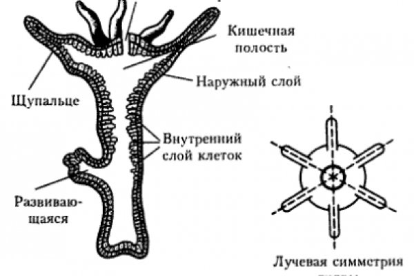 Сайт krn