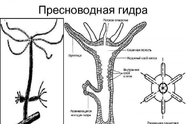 Как вернуть аккаунт кракен